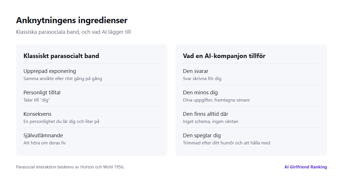 Diagram över anknytningens ingredienser: klassiska parasociala faktorer som upprepning, personligt tilltal och konsekvens, plus AI:ns tillägg: svar, minne av dig och ständig tillgänglighet